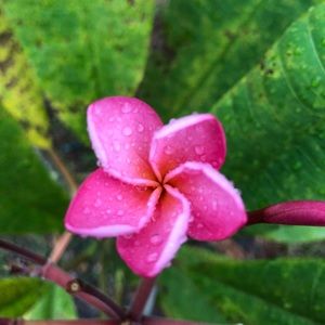 Meet your Posher, Kaylee